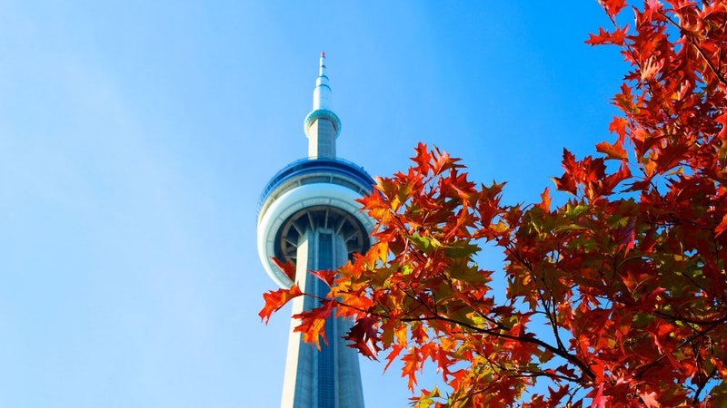 Toronto: 8 lugares para tornar a sua viagem inesquecível!